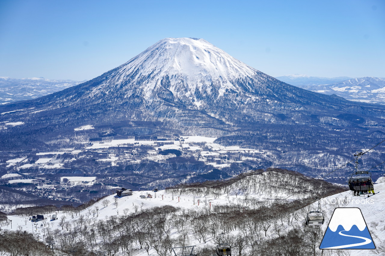 ニセコグラン・ヒラフ DYNASTAR SKI TEST RIDE DAYS Photo Session!!最高の天気に恵まれたニセコに、最高の仲間たちが集まりました☆